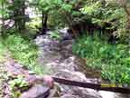streams