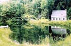 pond